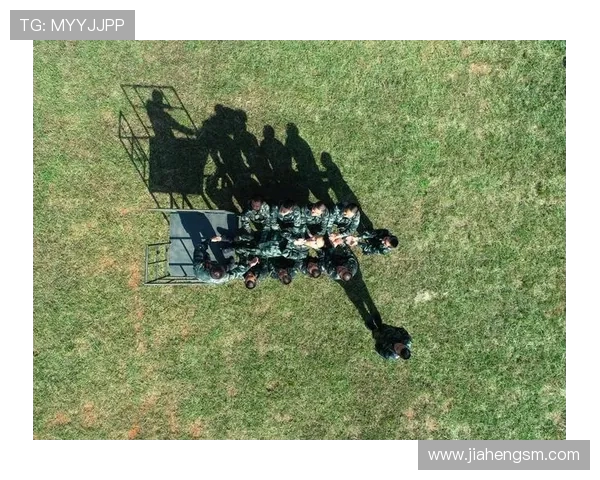 成都飞盘队心理素质分析与表现研究探讨