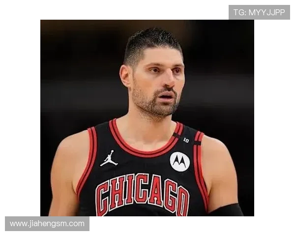 尼古拉武切维奇的传奇人生与篮球梦想之路探索