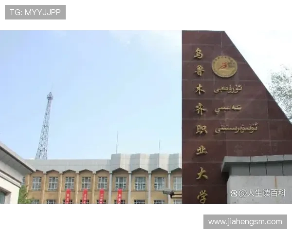 许钟豪的成长之路与职业生涯探索：从青涩少年到篮球场上的璀璨明星