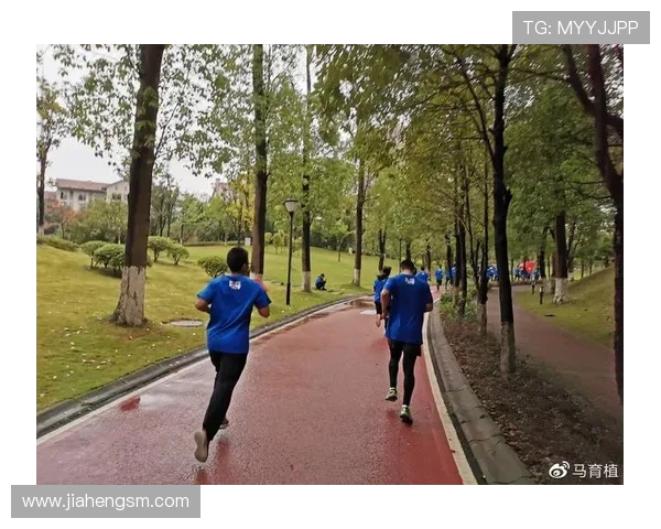 重庆羽毛球队团队协作的成功之道与经验分享探讨 重庆羽毛球队团队协作的成功之道与经验分享探讨