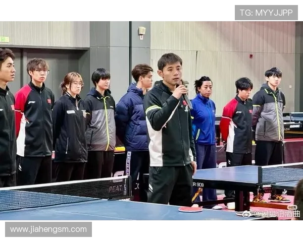 乒乓球新手必看：从基础技巧到配合训练的全面入门指南