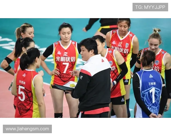 排球盛宴：深入解析上海排球队的战术与技术精髓