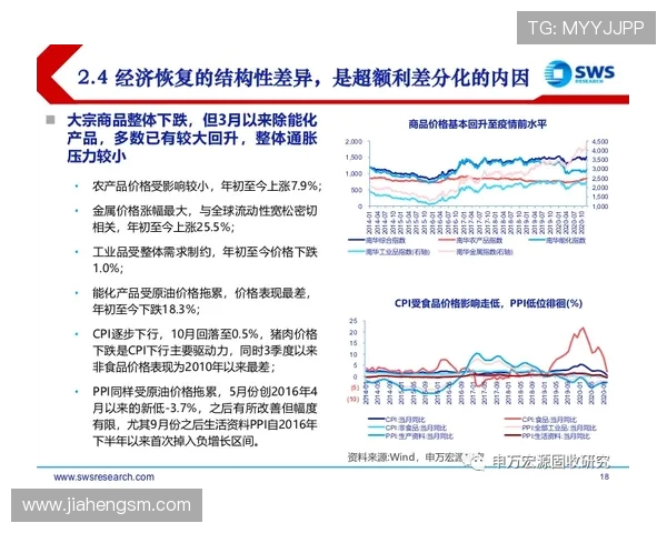 武汉飞盘队区域防守策略解析与战术创新探讨